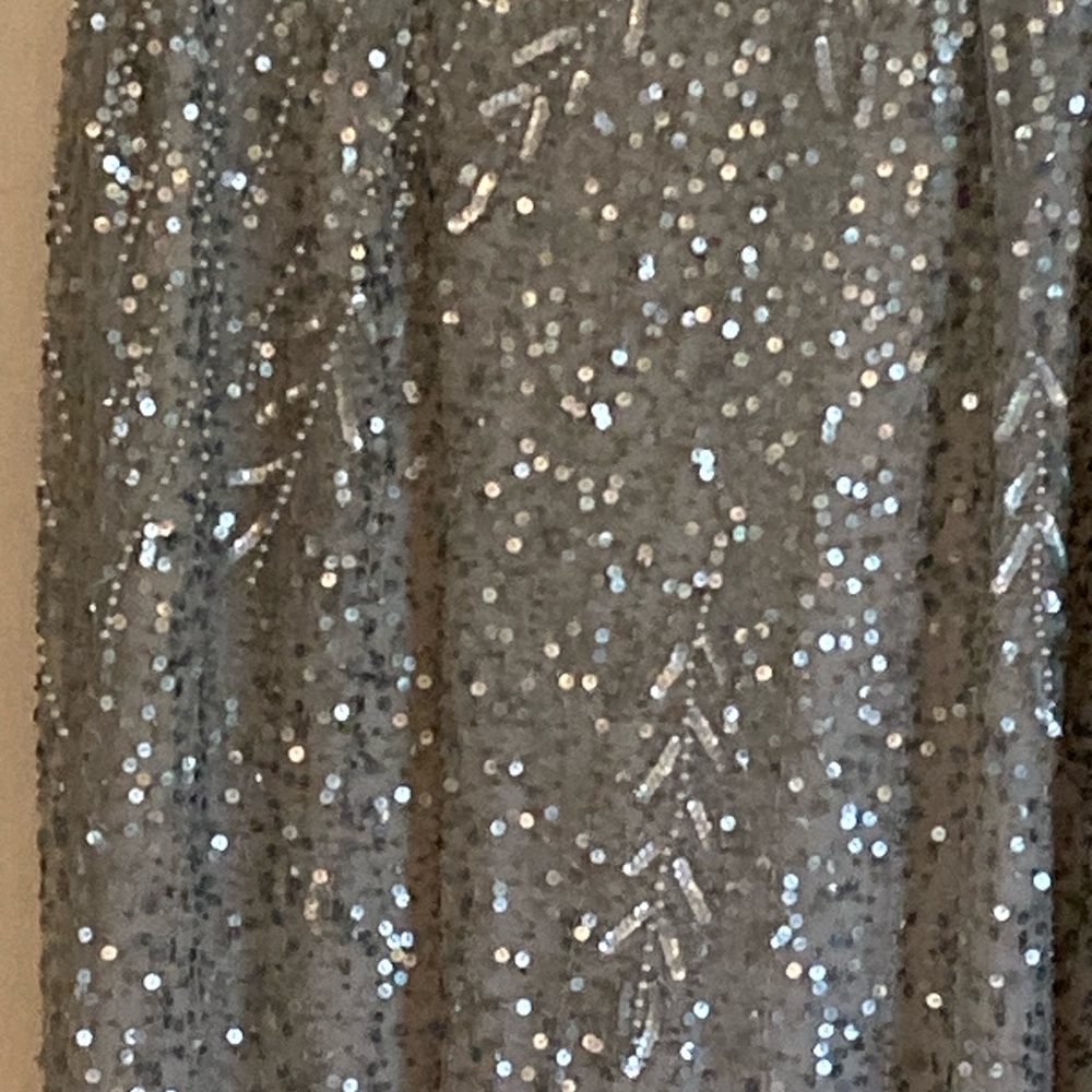 Adrianna Papell gown - Picture 5 of 6